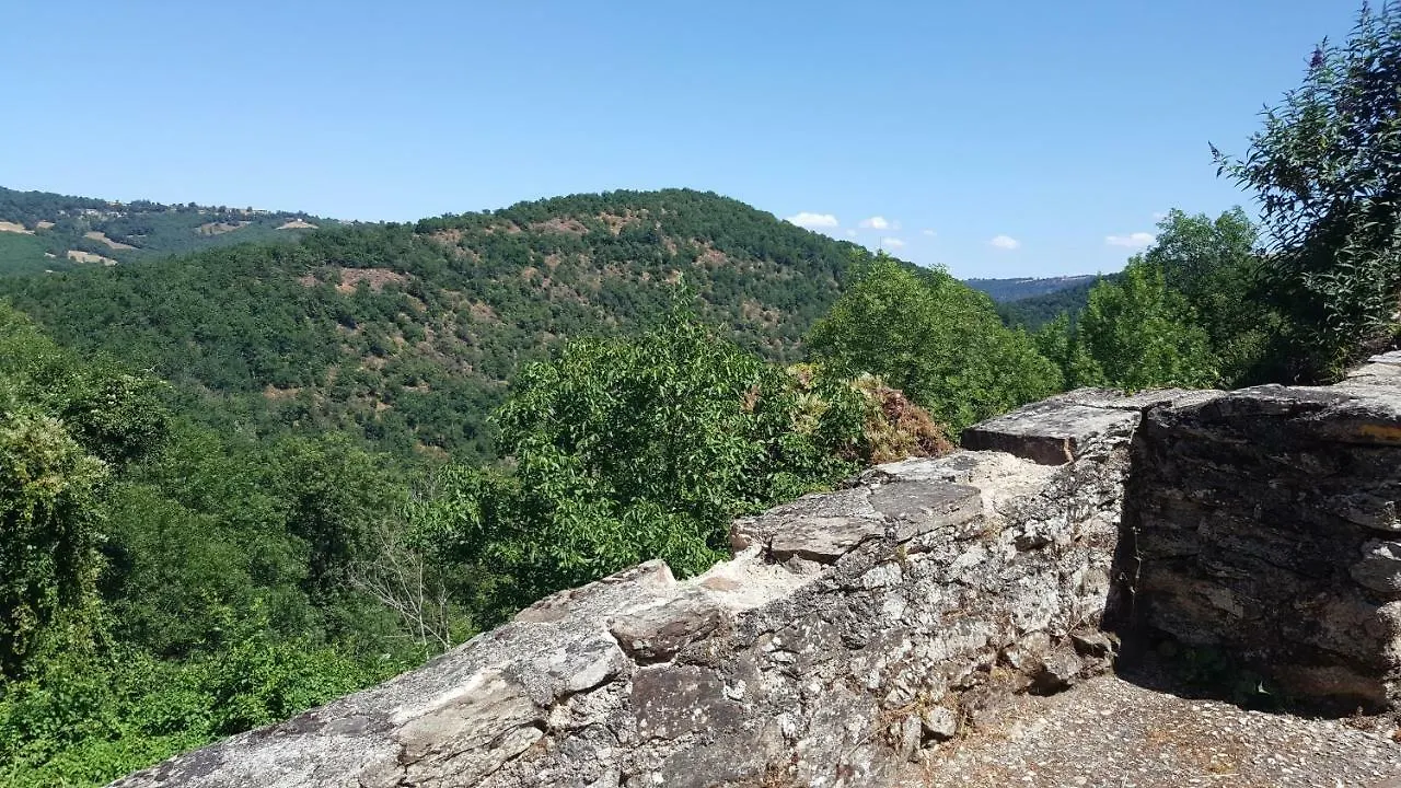 Gite La Segalante Carmaux France